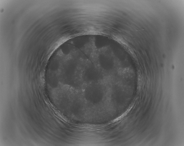 X0000085041170200703191225