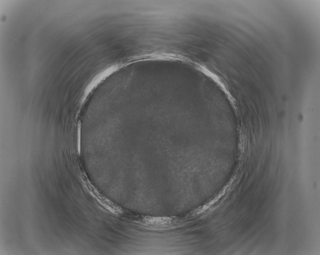 X0000085041171200703191225