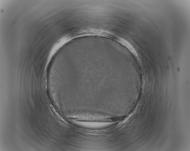 X0000085041172200703191225