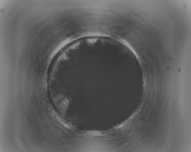 X0000085041173200703191225