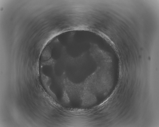 X0000085041174200703191225