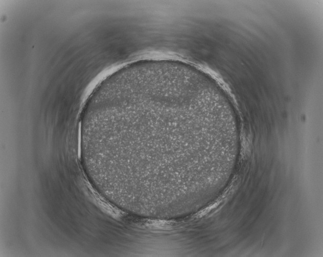 X0000085041175200703191225