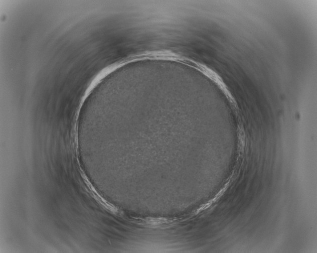 X0000085041176200703191225