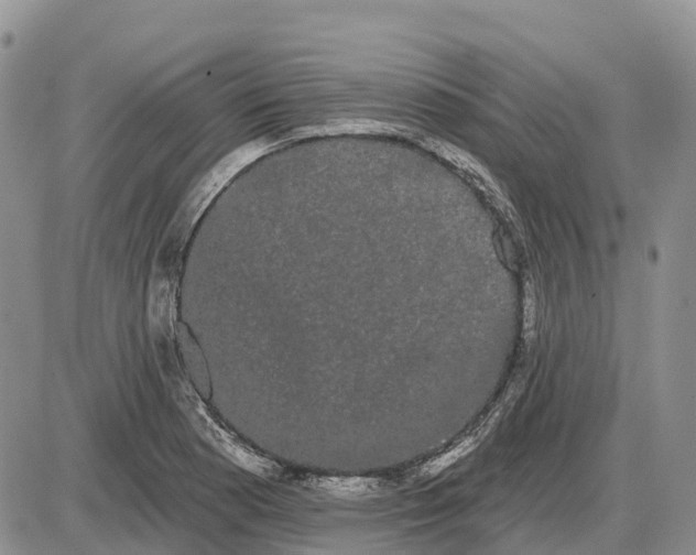 X0000085041177200703191225