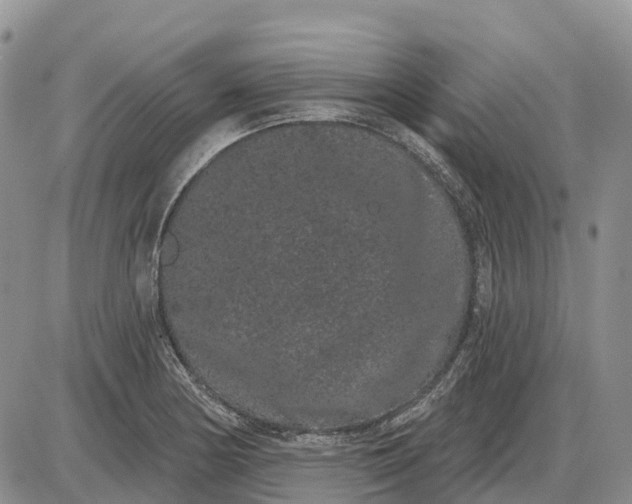 X0000085041178200703191225