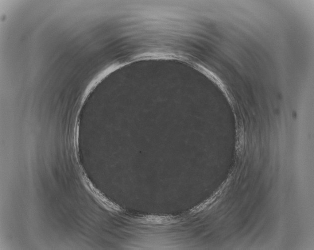 X0000085041179200703191225