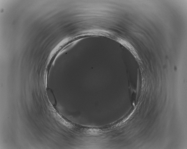 X0000085041180200703191225