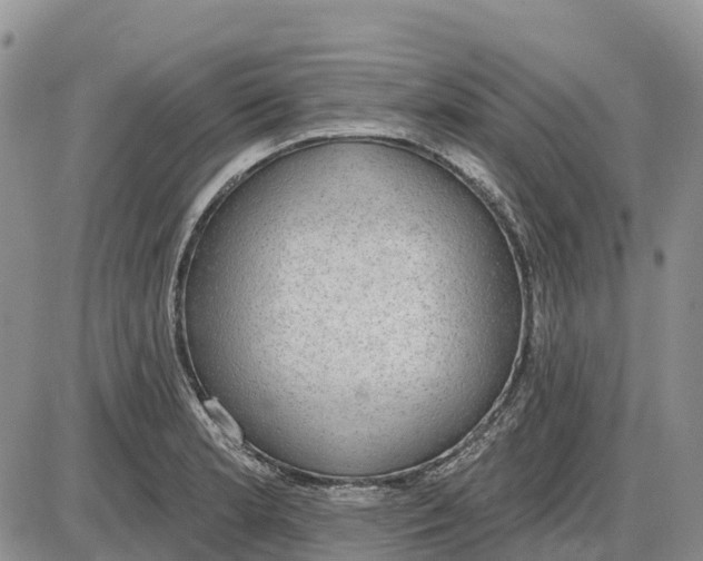 X0000085041181200703191225