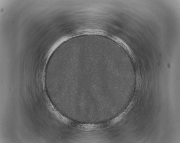 X0000085041182200703191225