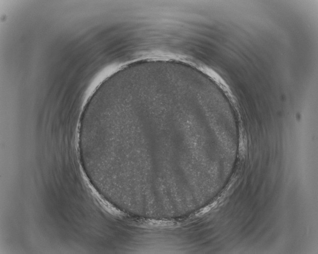 X0000085041183200703191225