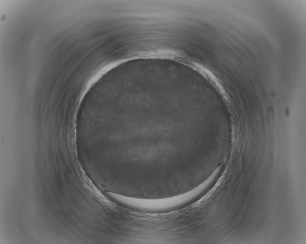 X0000085041184200703191225