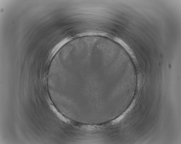 X0000085041185200703191225