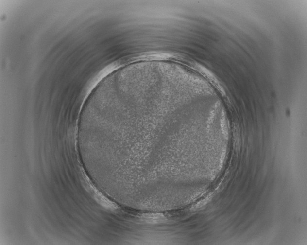 X0000085041186200703191225