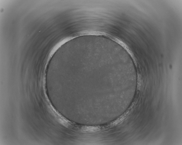 X0000085041187200703191225