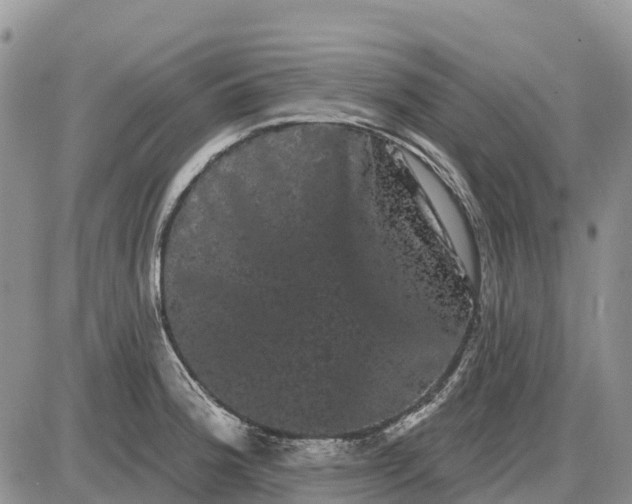 X0000085041188200703191225