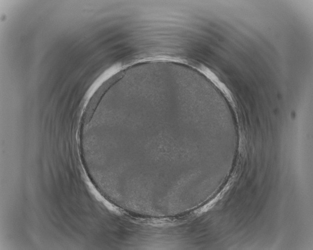 X0000085041189200703191225