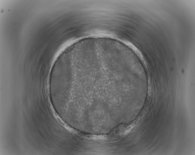 X0000085041191200703191225