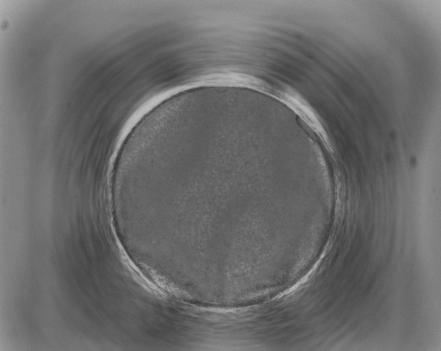 X0000085041192200703191225