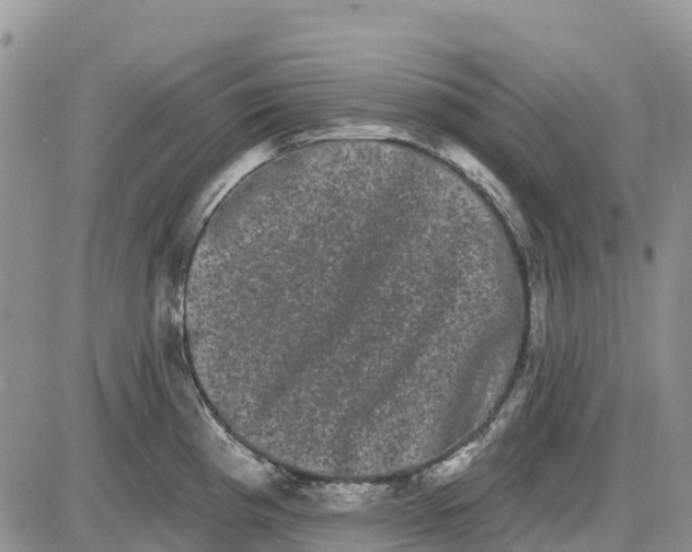 X0000085041193200703191225