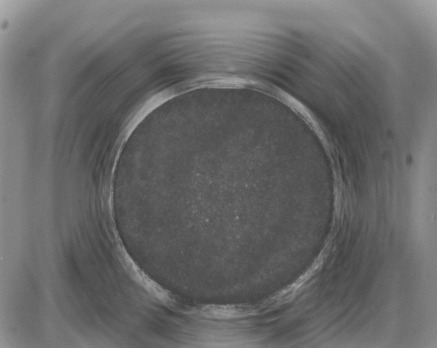 X0000085041194200703191225