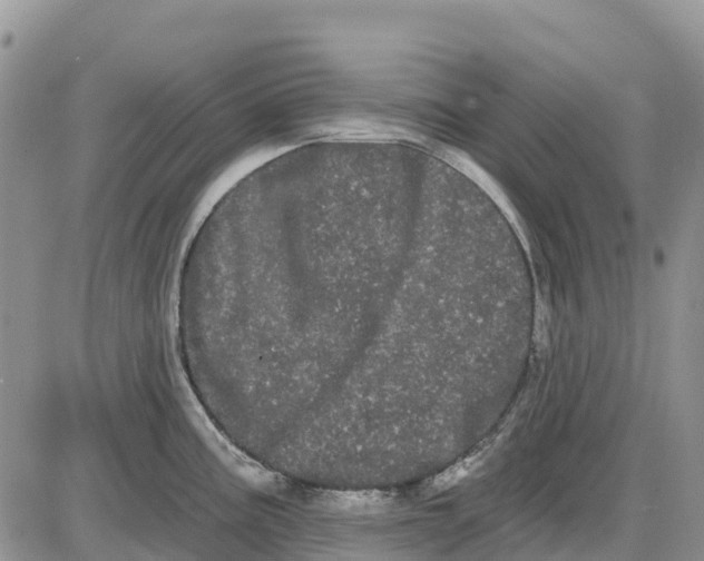 X0000085041195200703191225