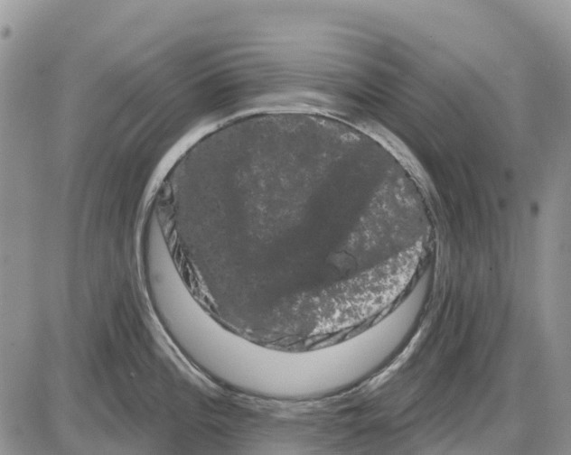 X0000085041196200703191225