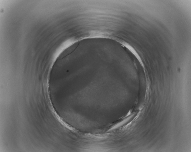 X0000085041197200703191225