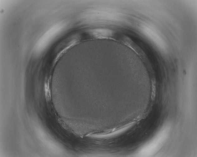 X0000085041198200703191225