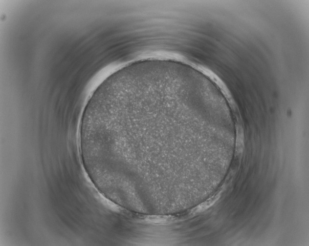 X0000085041199200703191225