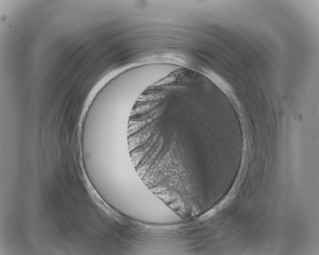 X0000085041200200703191225