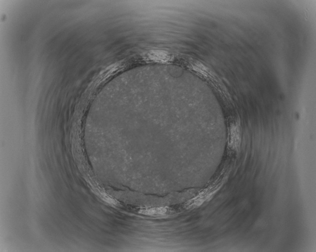 X0000085041201200703191224