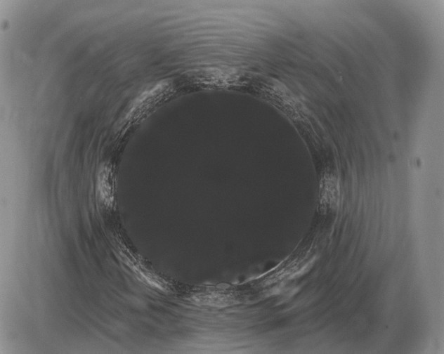 X0000085041202200703191224