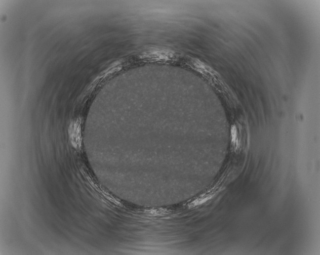 X0000085041203200703191224