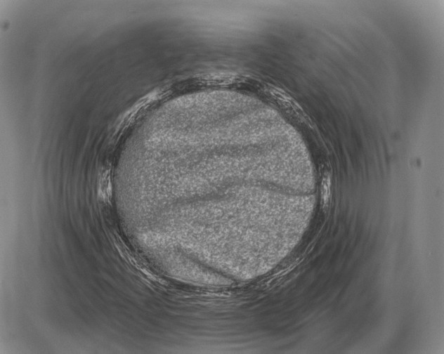 X0000085041204200703191224