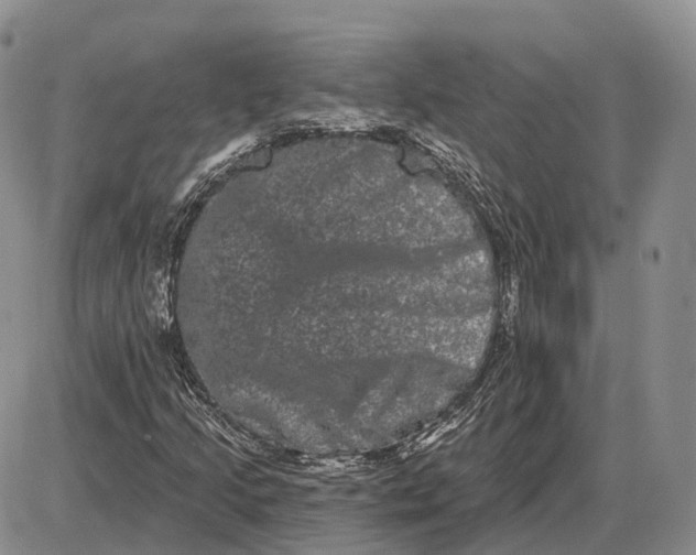 X0000085041205200703191224