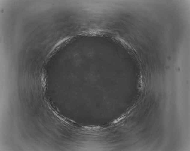 X0000085041206200703191224