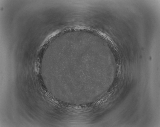 X0000085041207200703191224