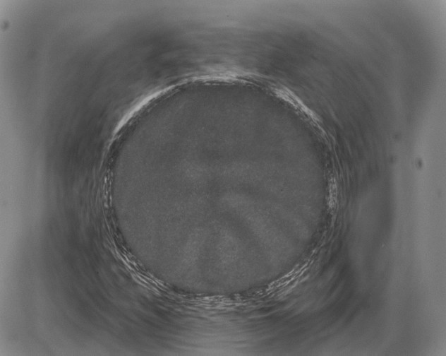 X0000085041208200703191224