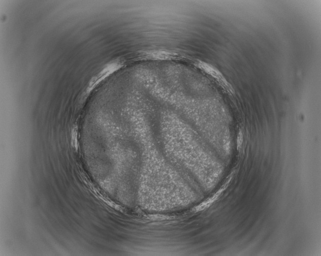 X0000085041209200703191224