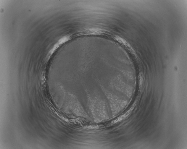 X0000085041210200703191224