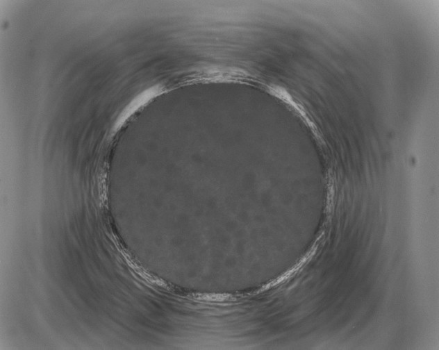 X0000085041211200703191224