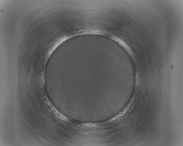 X0000085041212200703191224