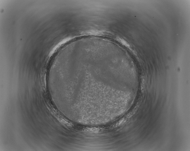 X0000085041214200703191224