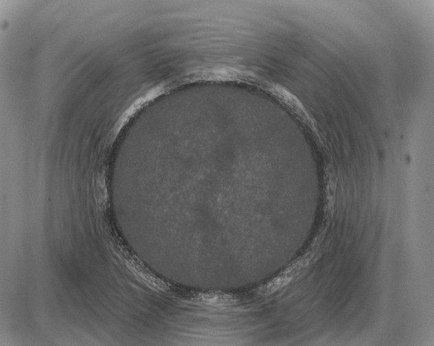 X0000085041218200703191224