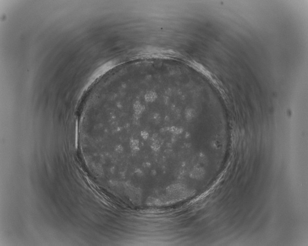 X0000085041219200703191224