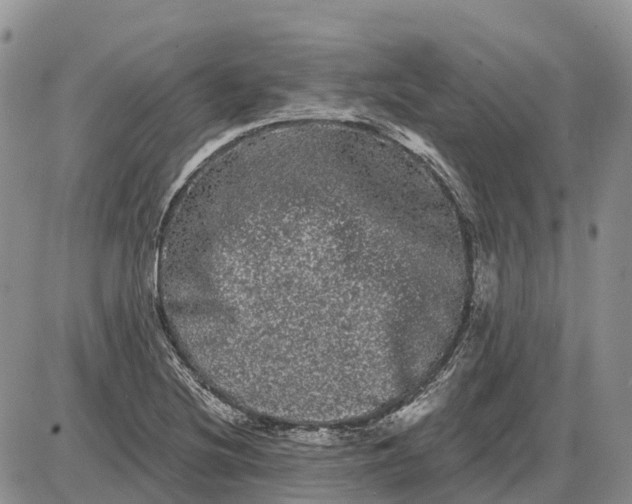 X0000085041220200703191224