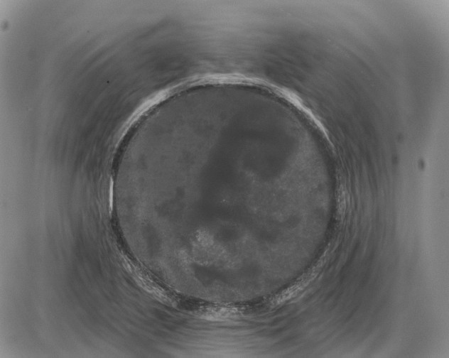 X0000085041221200703191224