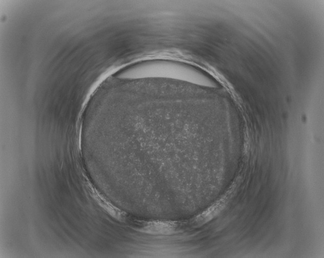 X0000085041224200703191224