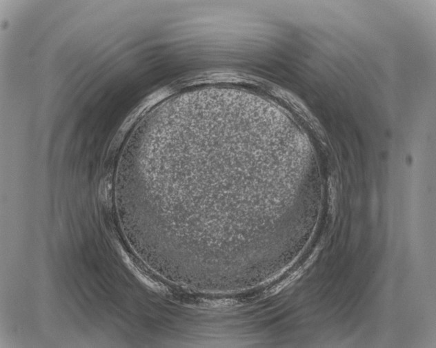 X0000085041225200703191224