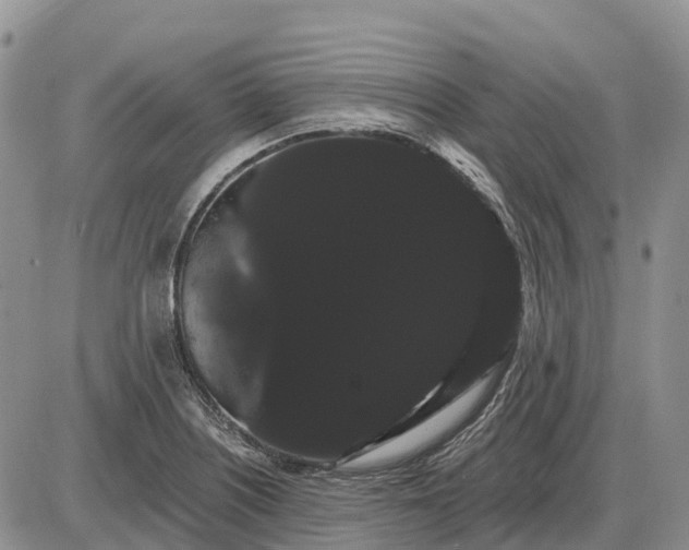 X0000085041226200703191224